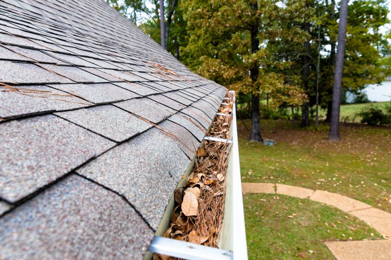 Commercial Gutter Unclogging