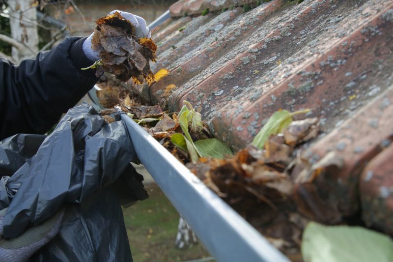 Close-up of Gutter Debris