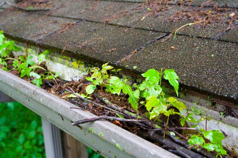 Gutter Debris Removal