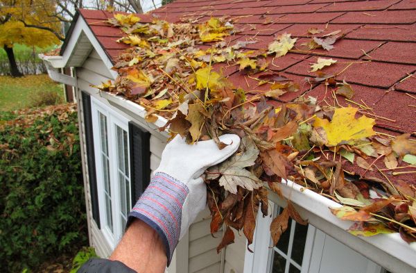 Cost of Rain Gutter Cleaning Service in Dade City