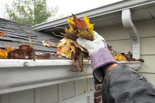 Cost of Leaf Gutter Cleaning in Dade City
