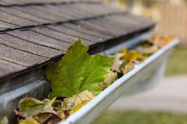 Cost of Gutter System Cleaning in Dade City
