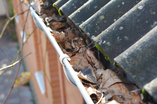 Cost of Home Gutter Cleaning in Dade City