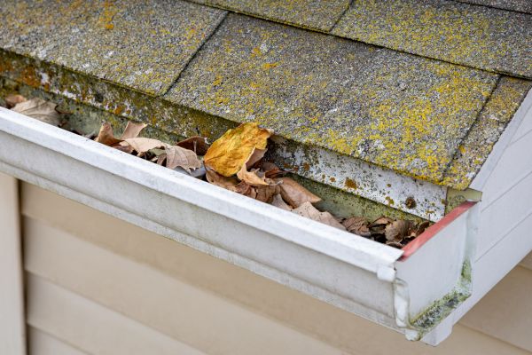 Cost of Garage Gutter Cleaning in Dade City