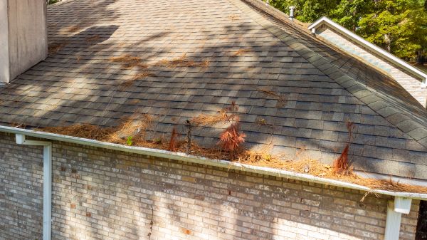 Cost of Gutter Pine Needle Removal in Dade City